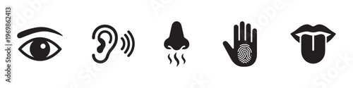 Human Five Senses Icon Set for Sight Hearing Smell Touch Taste. Vector Illustration.	
