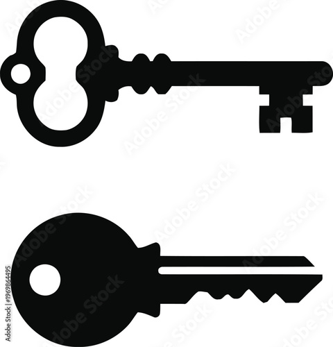 Two contrasting black and white keys representing access and security concepts. isolated on white background, Vector