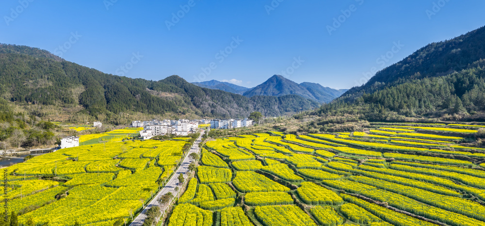 custom made wallpaper toronto digitalVibrant Rapeseed Fields in Wuyuan, Jiangxi — Terraced Yellow Blooms Surrounding White-walled House Village Amid Forested Mountains