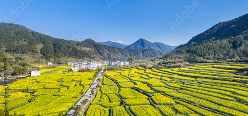 Wallpaper Mural Vibrant Rapeseed Fields in Wuyuan, Jiangxi — Terraced Yellow Blooms Surrounding White-walled House Village Amid Forested Mountains Torontodigital.ca