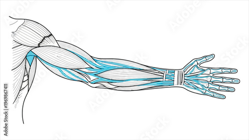 Two Business Professionals Discussing Strategy and Technical Solutions.