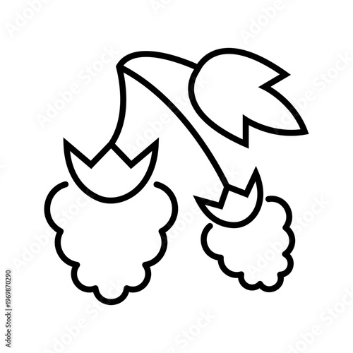 Raspberry fruit icon. Food and berries line symbol. Black and white.