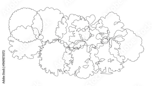 Line art top down view of sprawling tree canopies forming organic patterns on transparent background.