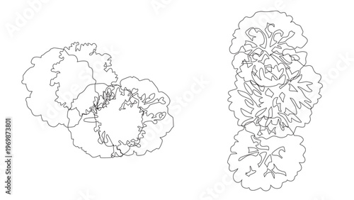 Top view landscape garden design elements with black line tree symbols on checkered background.