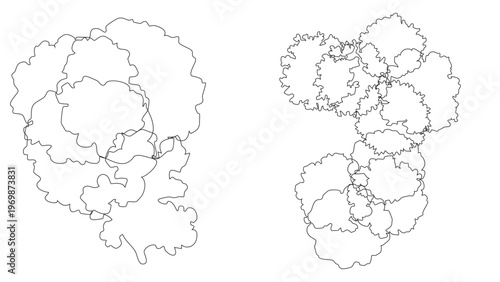 Top view line art of two tree clusters with organic shapes on transparent background.