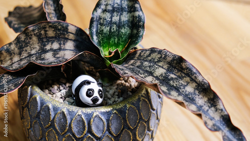 Close-up sansevieria houseplant in decorative ceramic pot with small panda figurine. Cozy indoor home decor concept  and wooden background. Minimalist lifestyle and plant lover aesthetic