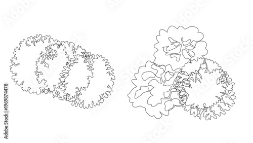 Minimalist landscape architecture tree symbols for site plan design in top view perspective.