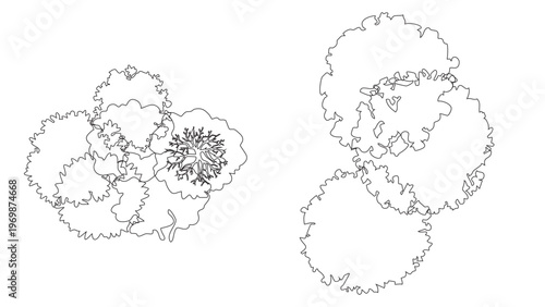 Landscape design tree symbols top view collection for architectural site plan documentation.