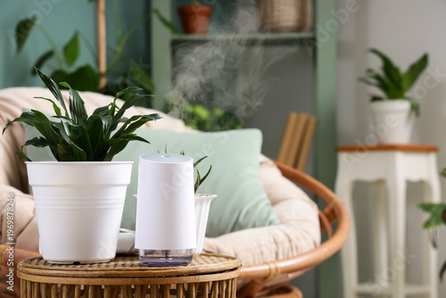 Air humidifier with plants ...