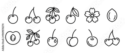 Cherry fruit icons set featuring various styles of berries, blossoms, and pits for design elements and illustrations.