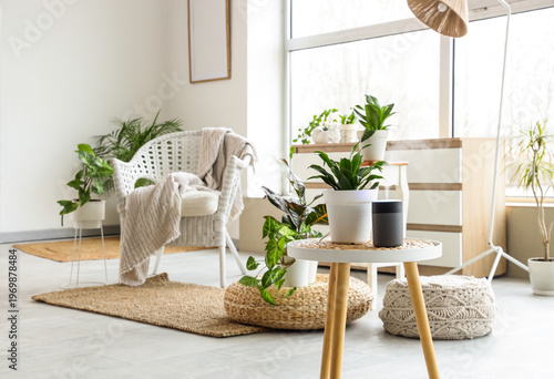 Interior of light living ro...