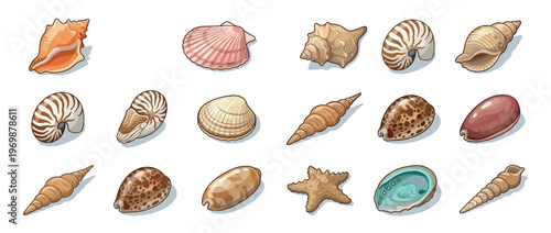 Seashells and starfish collection featuring various types of marine mollusk shells and an echinoderm in a colorful cartoon illustration.