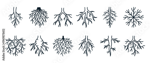 Various plant root systems illustration set showcasing different natural growth patterns and underground structures for botanical and ecological concepts.