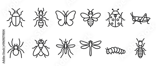 Insect bug icons set collection line art featuring various common arthropods like beetles, butterflies, bees, spiders, and more for design elements.