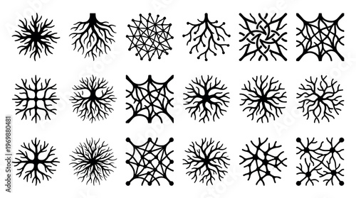 Abstract root patterns and organic shapes form a diverse collection of intricate graphic design elements.