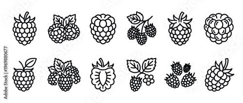 Raspberry berry fruit icons set, a collection of outline illustrations depicting fresh sweet berries with leaves and branches, perfect for design elements.