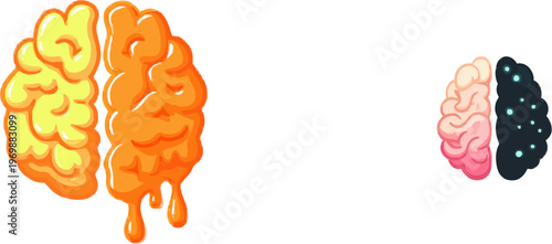 A clean, vibrant professional flat vector illustration of a brain split into logic 