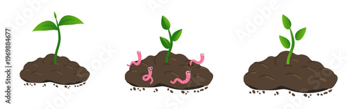 Small plant growing in the ground and Earthworm. Worm and young green plant. Vector illustration in flat style, isolated on a white background.
