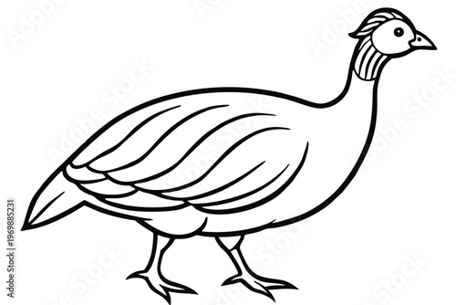 gull bird silhouette line art vector illustration with a white background