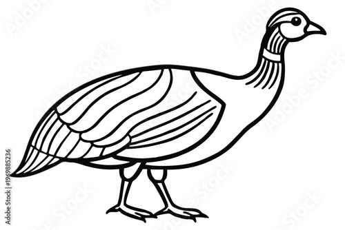 gull bird silhouette line art vector illustration with a white background