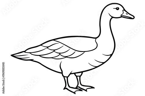 goose bird silhouette line art vector illustration with a white background