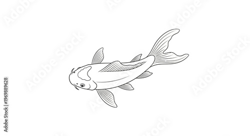 Elegant Koi Fish Outline Illustration, Japanese Carp Drawing, Simple Line Art