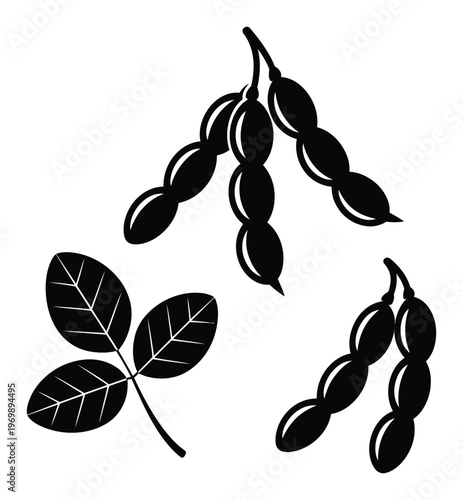 Stylized Black and White of Soybeans and Leaves