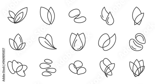 Botanical line art vector set. Nature organic elements