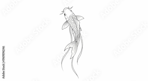 Hand-drawn Koi Fish Outline Illustration, Japanese Carp Sketch