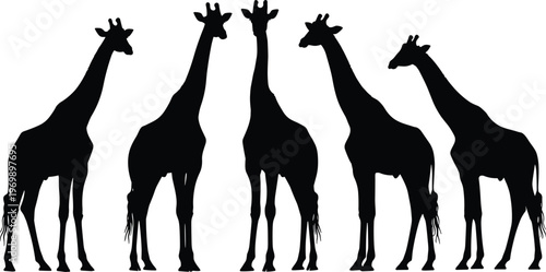 Giraffe silhouettes set wildlife animals African savanna long neck herd collection isolated on white background vector illustration minimal design style