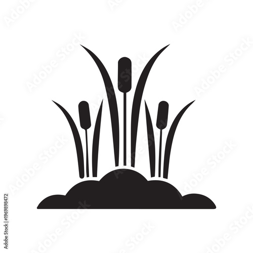 Silhouette Cattails Growing in a Pond, Wetland Plant with Tall Blades, Symbolizing Marsh Ecosystems and Natural Elements
