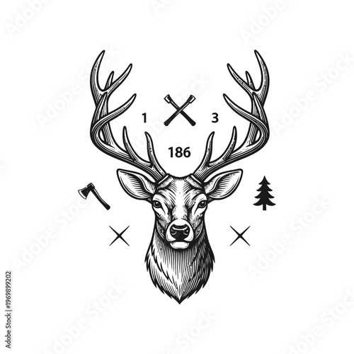 A deer head with antlers and symbols around it isolated on white background, Vector, illustration