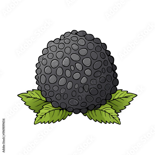Blackberry with green leaves, juicy, ripe, hand-drawn illustration, delicious fruit
