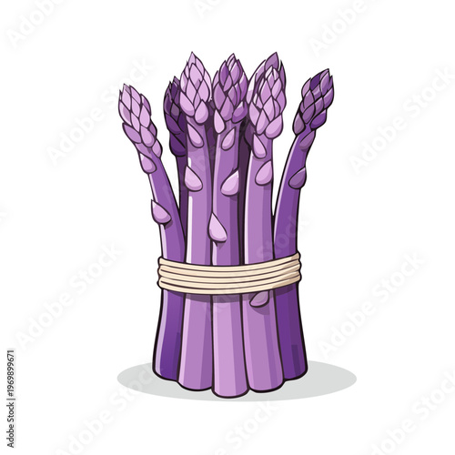 A healthy bunch of vibrant purple asparagus spears tied together with twine