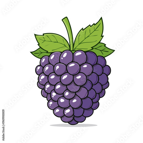 Vibrant Purple Blackberry Fruit Illustration with Green Leaves Isolated on White Background