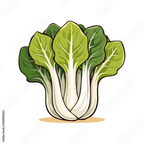 Fresh Bok Choy Vegetable Bunch Illustration Isolated on White Background