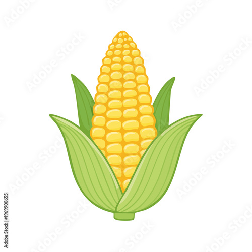 Fresh Ripe Corn Cob with Green Leaves Isolated on White Background
