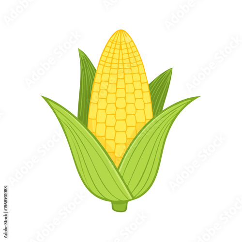 Vibrant ear of corn with green husks and yellow kernels, simple illustration