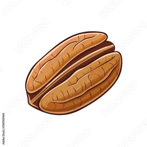 Close-up Illustration of a Single Pecan Nut Kernel