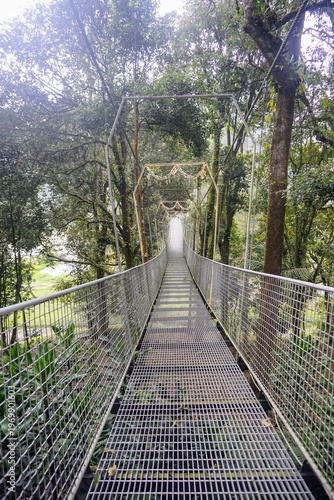 Wallpaper Mural Suspension bridge in a dense forest with a long metal pathway and a calm natural atmosphere. Torontodigital.ca