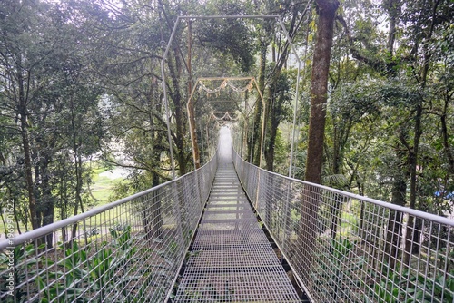 Wallpaper Mural Suspension bridge in a dense forest with a long metal pathway and a calm natural atmosphere. Torontodigital.ca