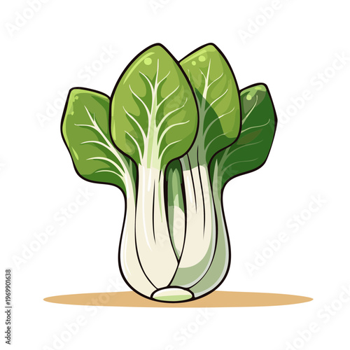 Fresh Green Bok Choy Vegetable Illustration with Vibrant Leaves and White Stems