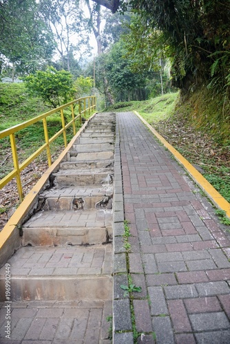 Wallpaper Mural Pedestrian pathway with concrete stairs and yellow railings in a lush green area Torontodigital.ca