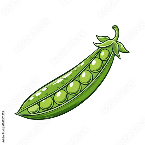Open green pea pod with ripe peas inside, illustrated and isolated