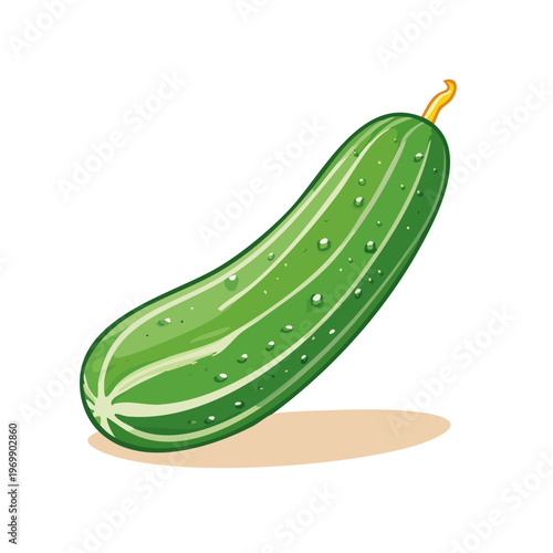 Vibrant green cucumber with water droplets and striped texture illustration