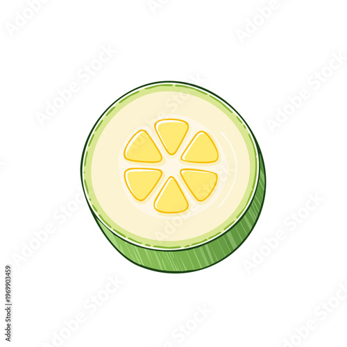 Fresh slice of zucchini with vibrant yellow seeds and light green skin