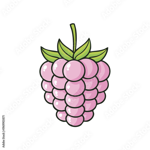 Sweet Pink Raspberry Cartoon Illustration with Green Leaves and Stem