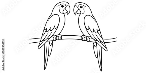 A black and white coloring page illustration featuring two cute parrots sitting on a tree branch. Vector, illustration