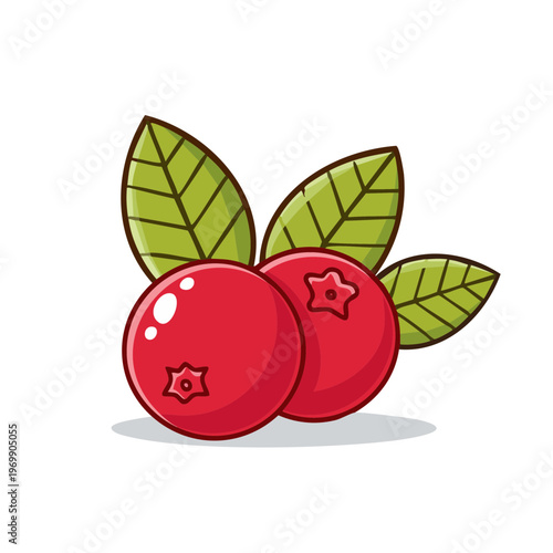 Ripe red cranberries with vibrant green leaves illustrated in a clean, modern style