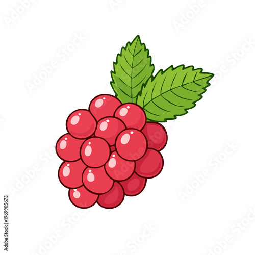 Juicy red raspberry cluster with green leaves illustrated in a simple cartoon style